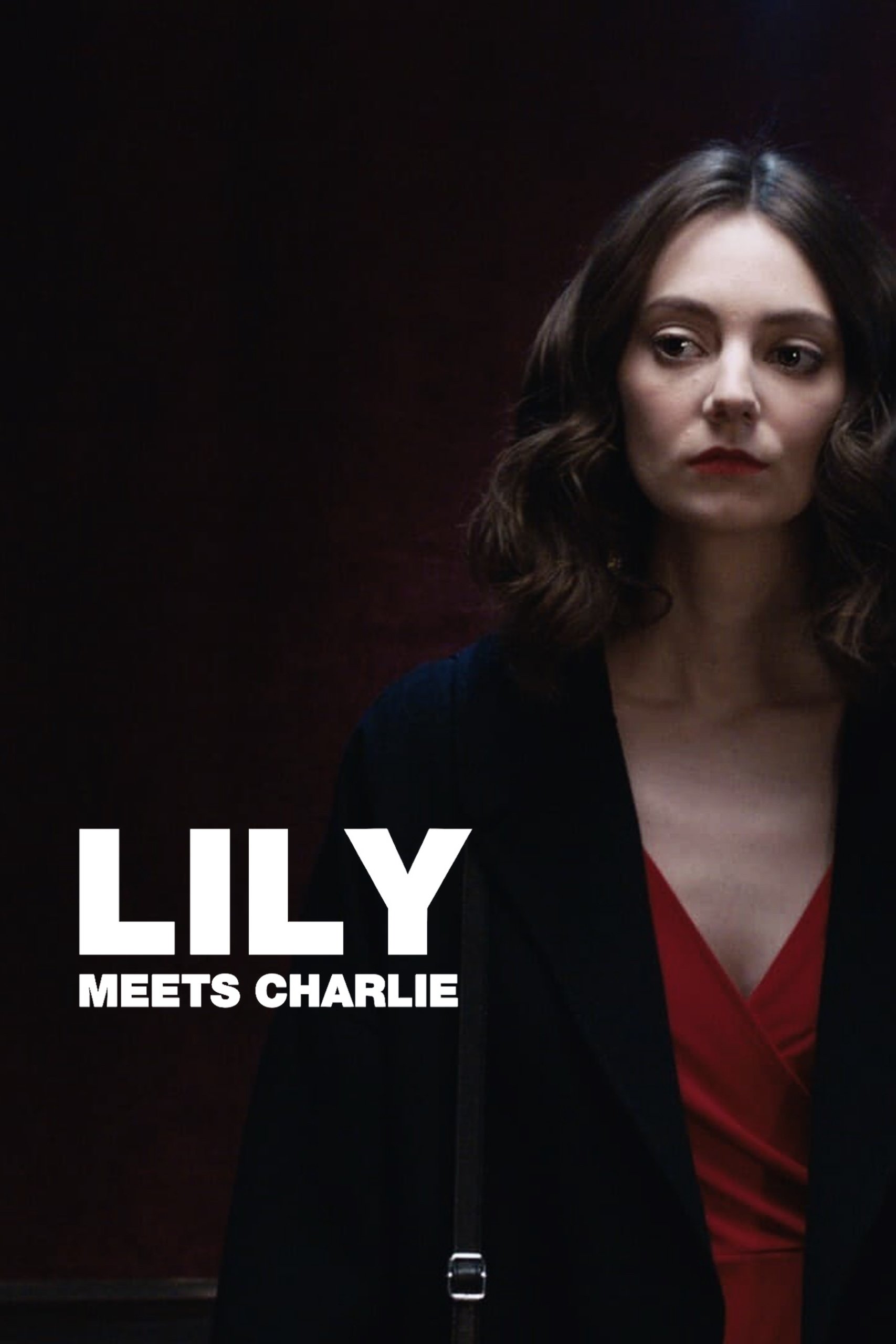 Постер Lily Meets Charlie